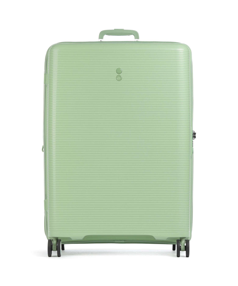 Echolac Forza L Spinner (4 wheels) reef green