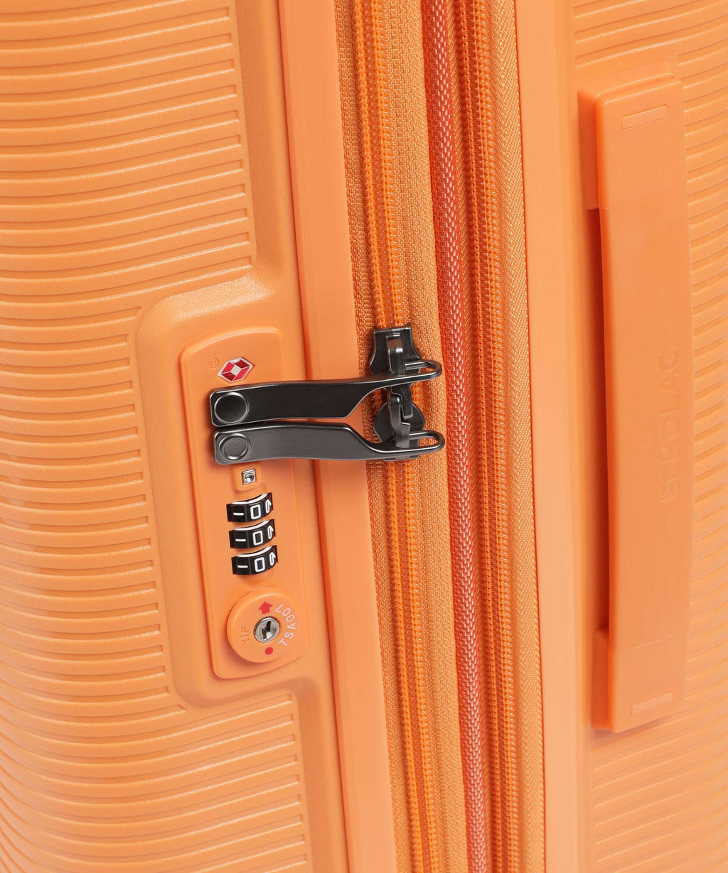 Echolac Forza S Spinner (4 wheels) apricot crush