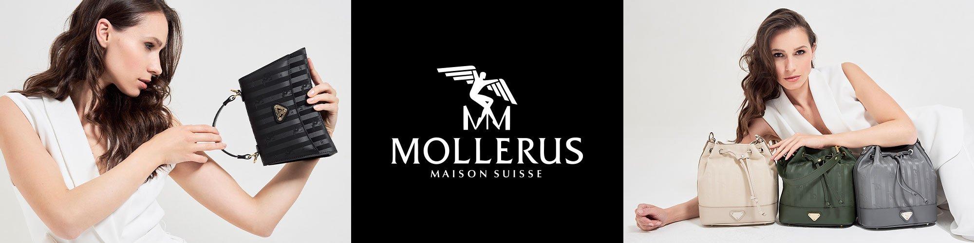 Maison Mollerus