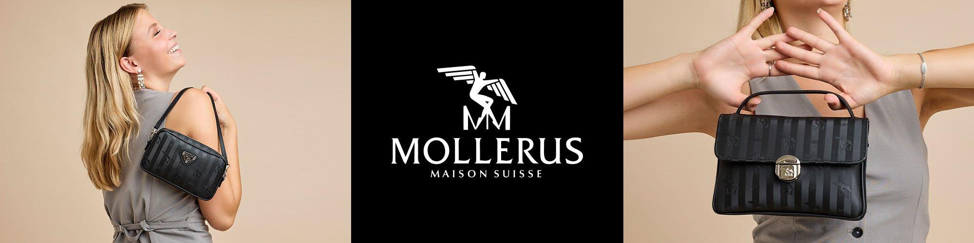 Maison Mollerus